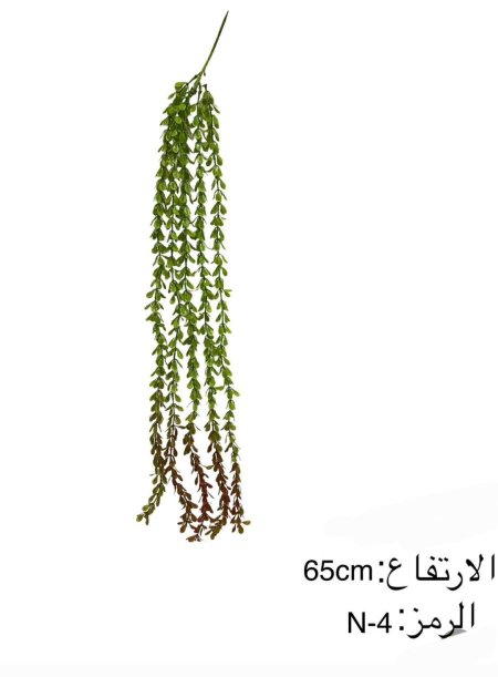 خضار نازل - اخضر مع احمر <br> <span class='text-color-warm'>نفدت الكمية</span>