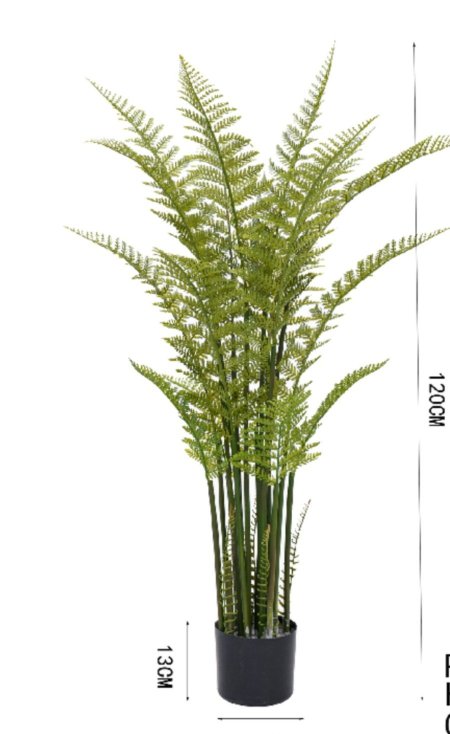 شجرة سلكون صغير