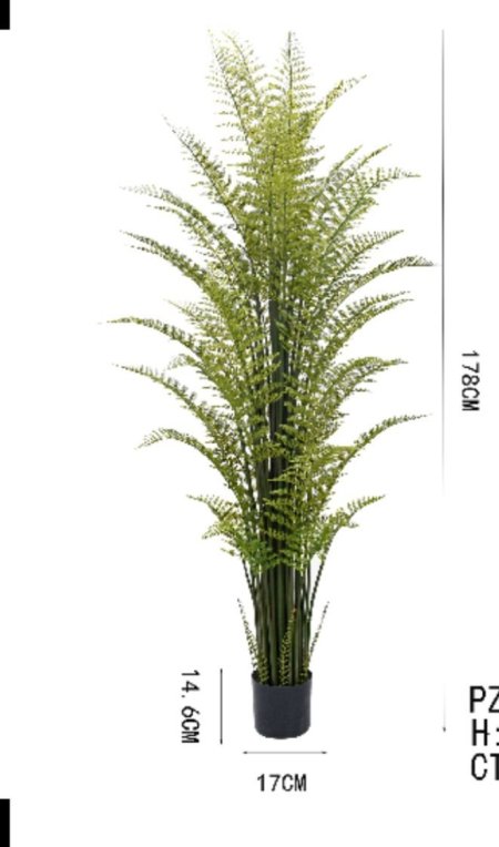 شجرة سلكن كبير