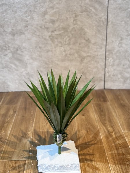 الوفيرا JTD09-25 صغير