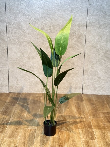 شجرة عصفور الجنة T-1