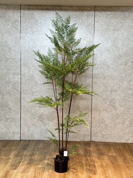 شجرة خنشار سلكون T-4