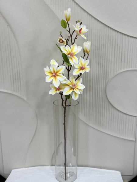 ابيض على صفار