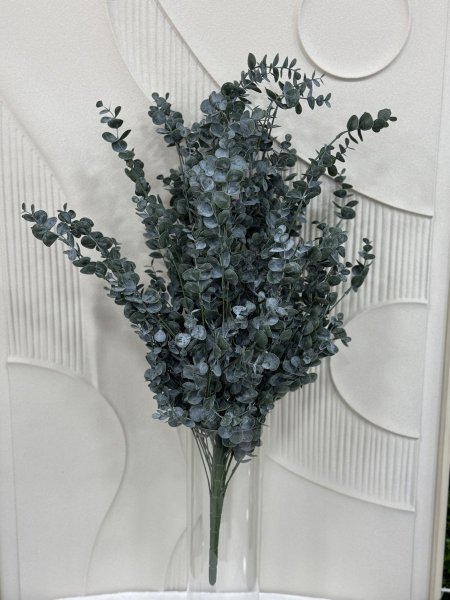 خضار زعتر G-10