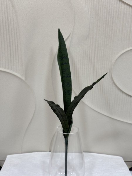 جلد نمرحجم (L)  G-5