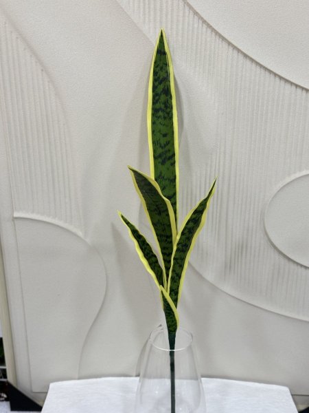 جلد نمرحجم (XL) G-6