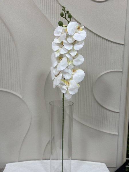 ابيض مع اصفر