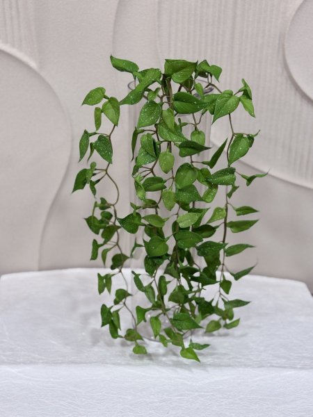 مداد نازل سلكون N-2