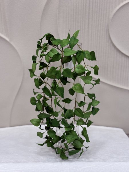 اخضر غامق سادة