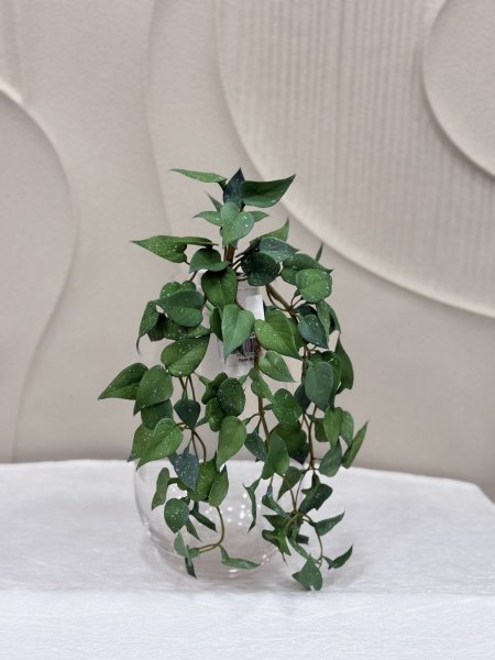 اخضر غامق ساده