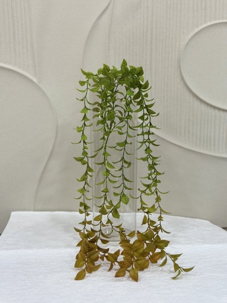 مداد نازل N-1