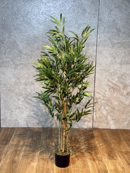 شجرة بامبوك T-15