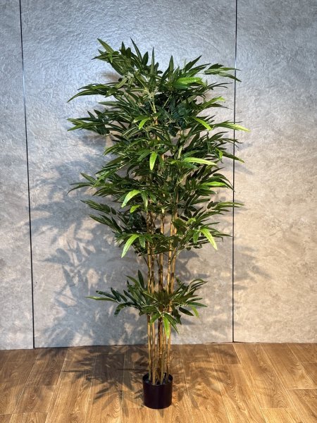 شجرة بامبوك TBM-2