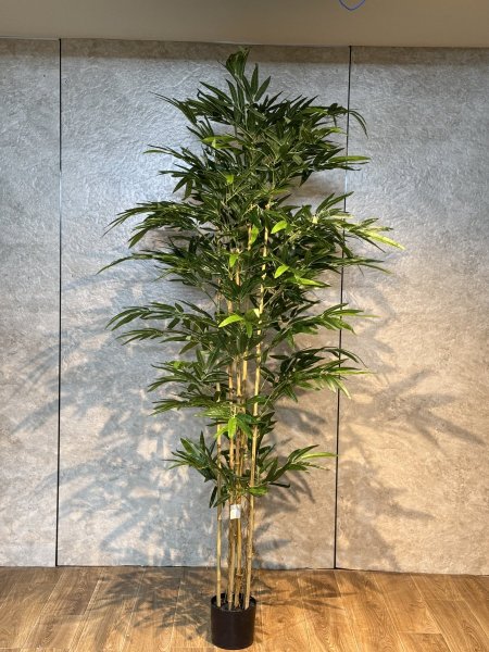 شجرة بامبوك TBM-3