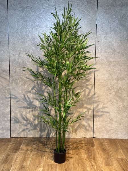 شجرة بامبوك TBM-4