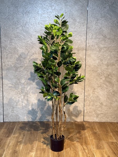 شجرة ورق  TBM-5