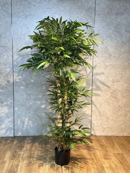 شجرة بامبوك TBM-6