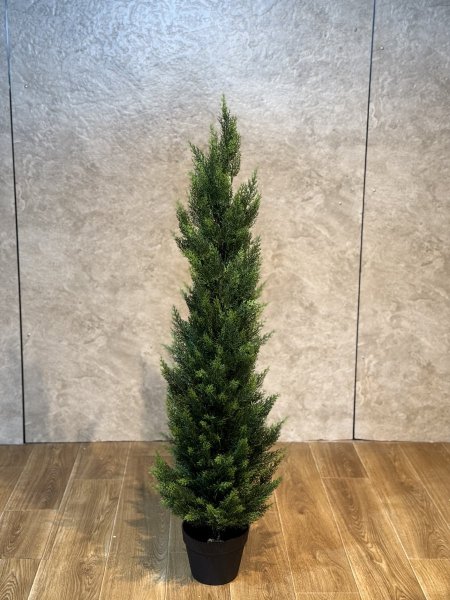 شجر سروي T-34