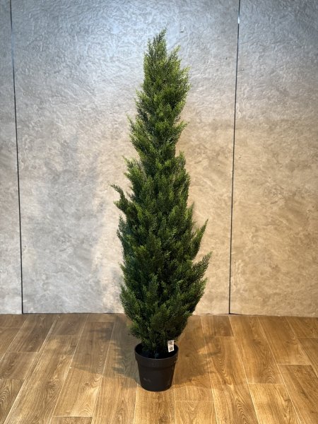 شجر سروي T-35