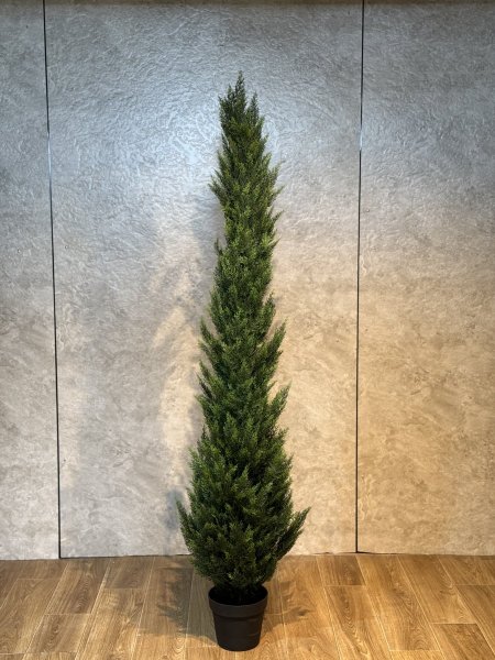 شجر سروي T-36