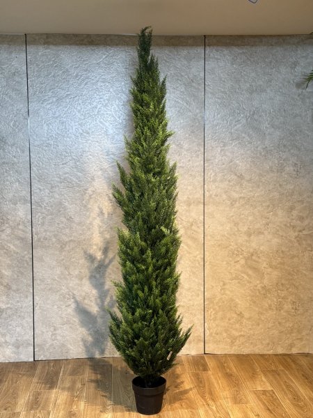 شجر سروي T-37