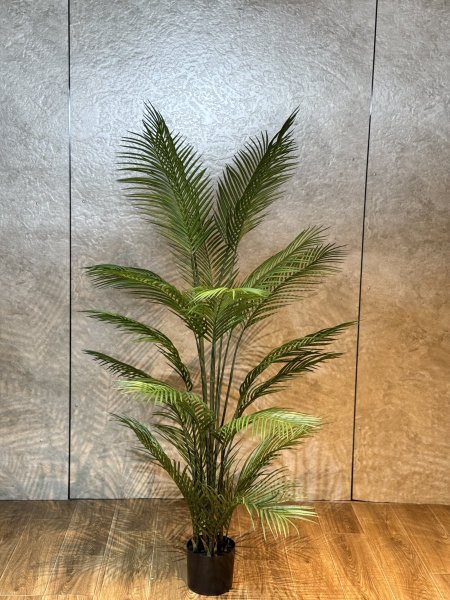 شجر نخل سلكون T-49