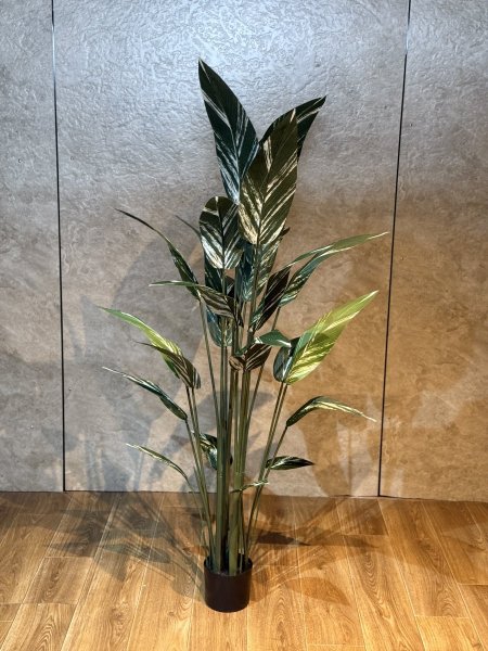 شجرة عصفور الجنة T-46