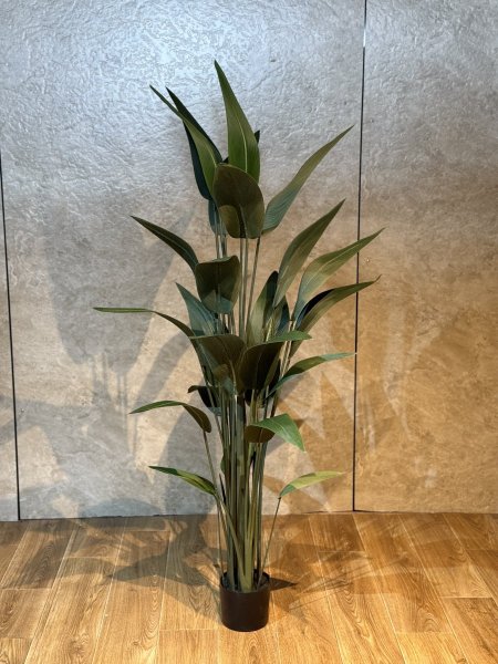 شجرة عصفور الجنة T-47