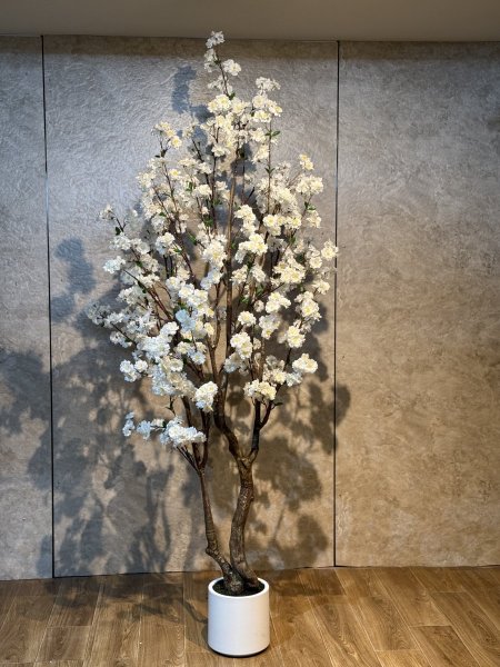 شجرة زهر الوز T-51