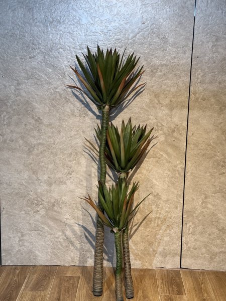 الوفيرا من دون قور TV-17