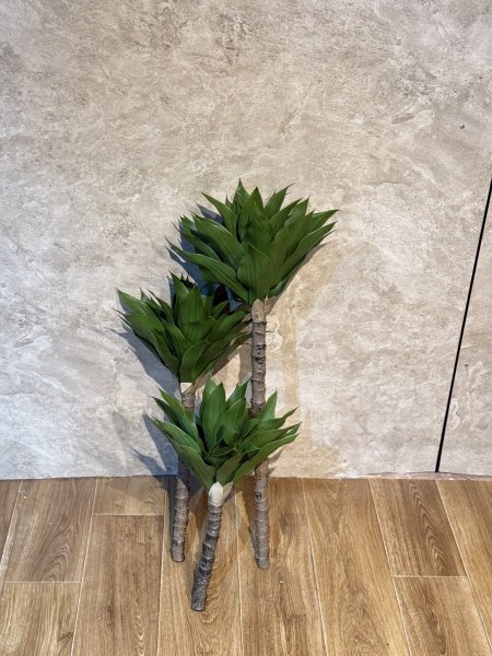 الوفيرا من دون قوار TV-6