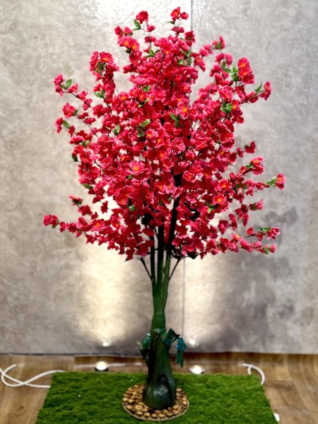 زهر الوز TF-1