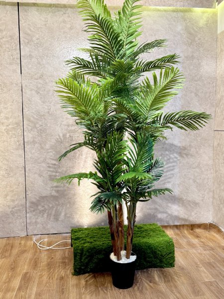 شجرة نخل T-18