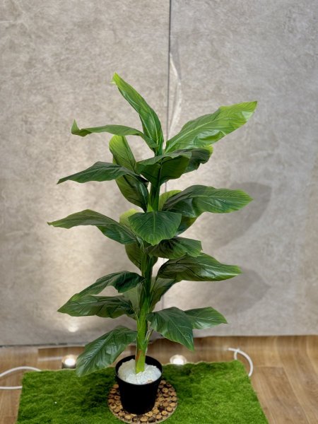 شجرة لوف T-19