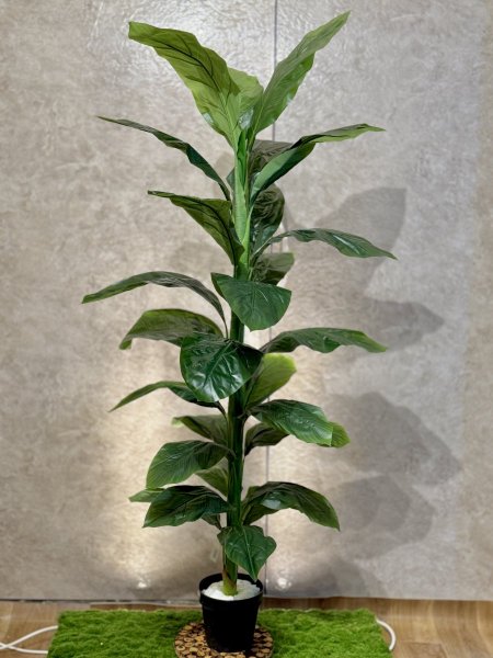 شجرة لوف T-20