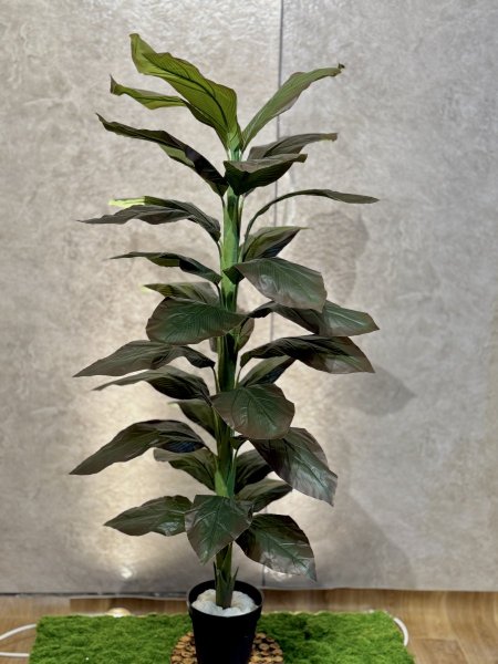 شجرة لوف T-21