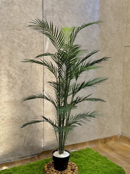 شجرة نخل  G-5