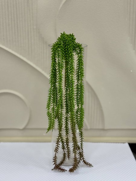 اخضر مع احمر