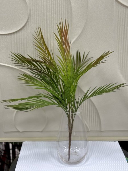 اخضر مع احمر