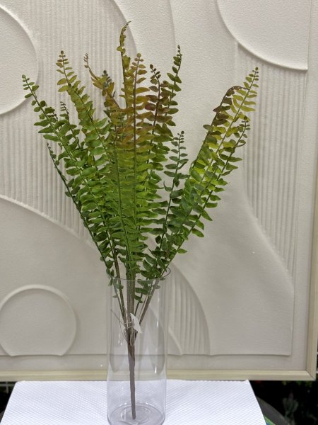 اخضر و احمر