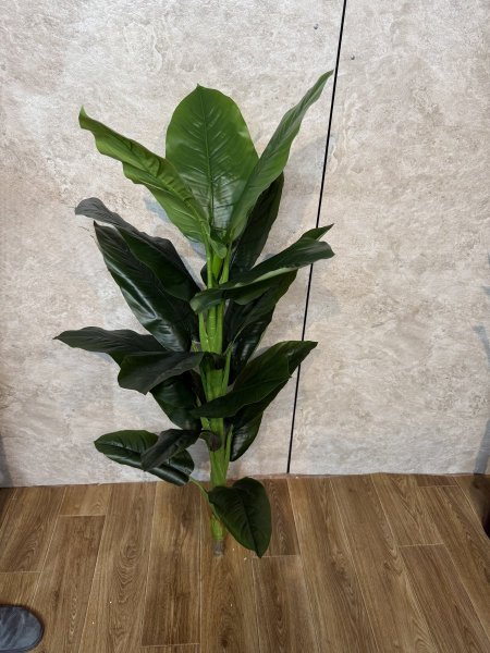 شجرة T-074