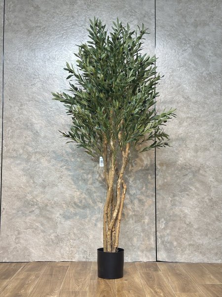 شجرة زيتون TZ-7 الارتفاع 180CM