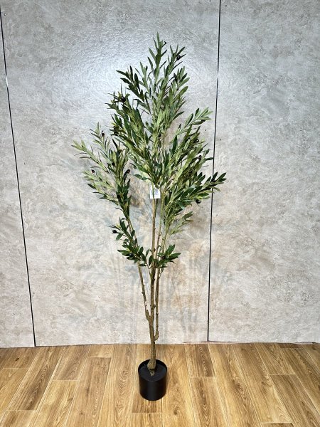 شجرة زيتون TZ-9 الارتفاع 180CM