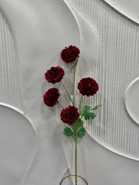احمر