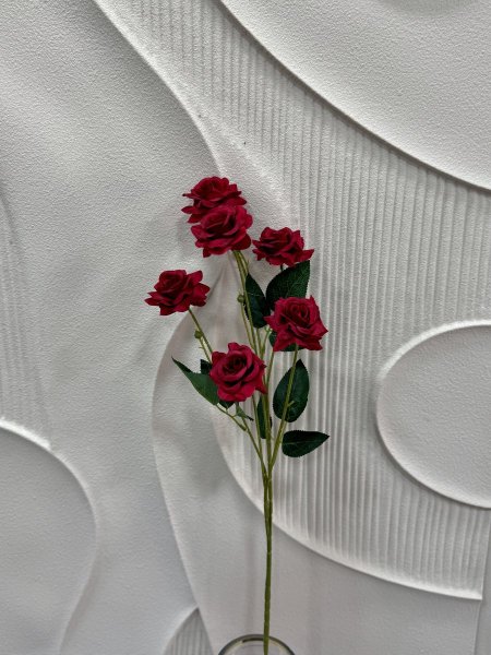 احمر