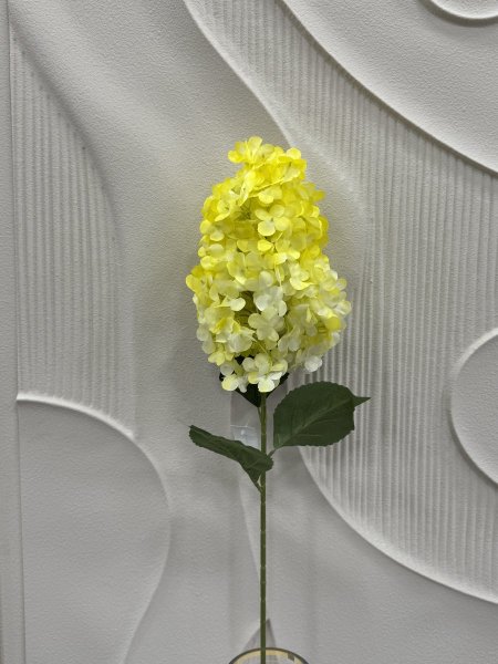 اصفر