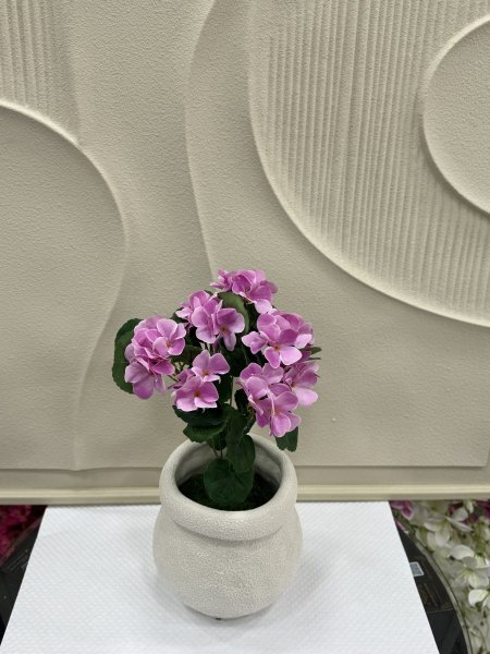ليلكه فاتح