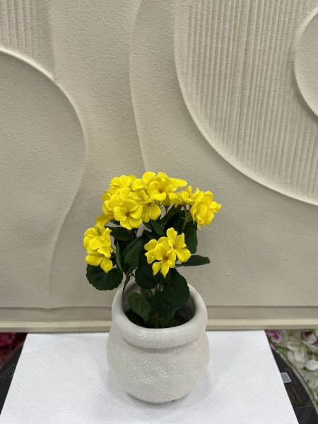 اصفر