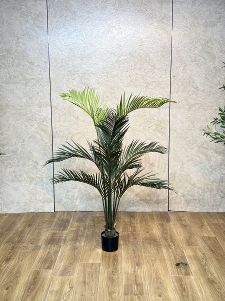 شجر نخل سلكن